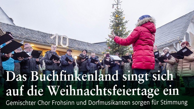 Das Buchfinkenland singt sich auf die Weihnachstfeiertage ein